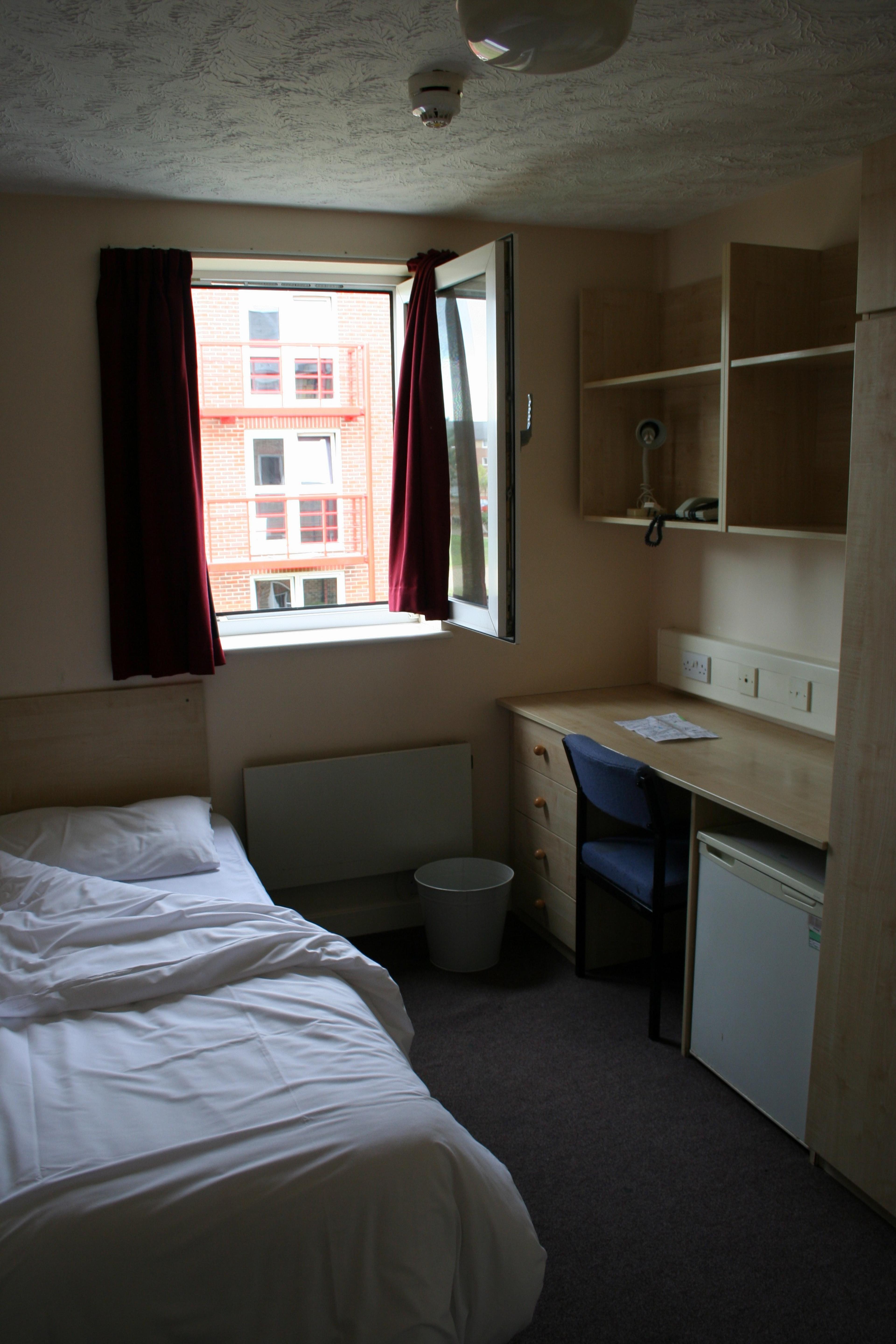 Imagen de la galería 1