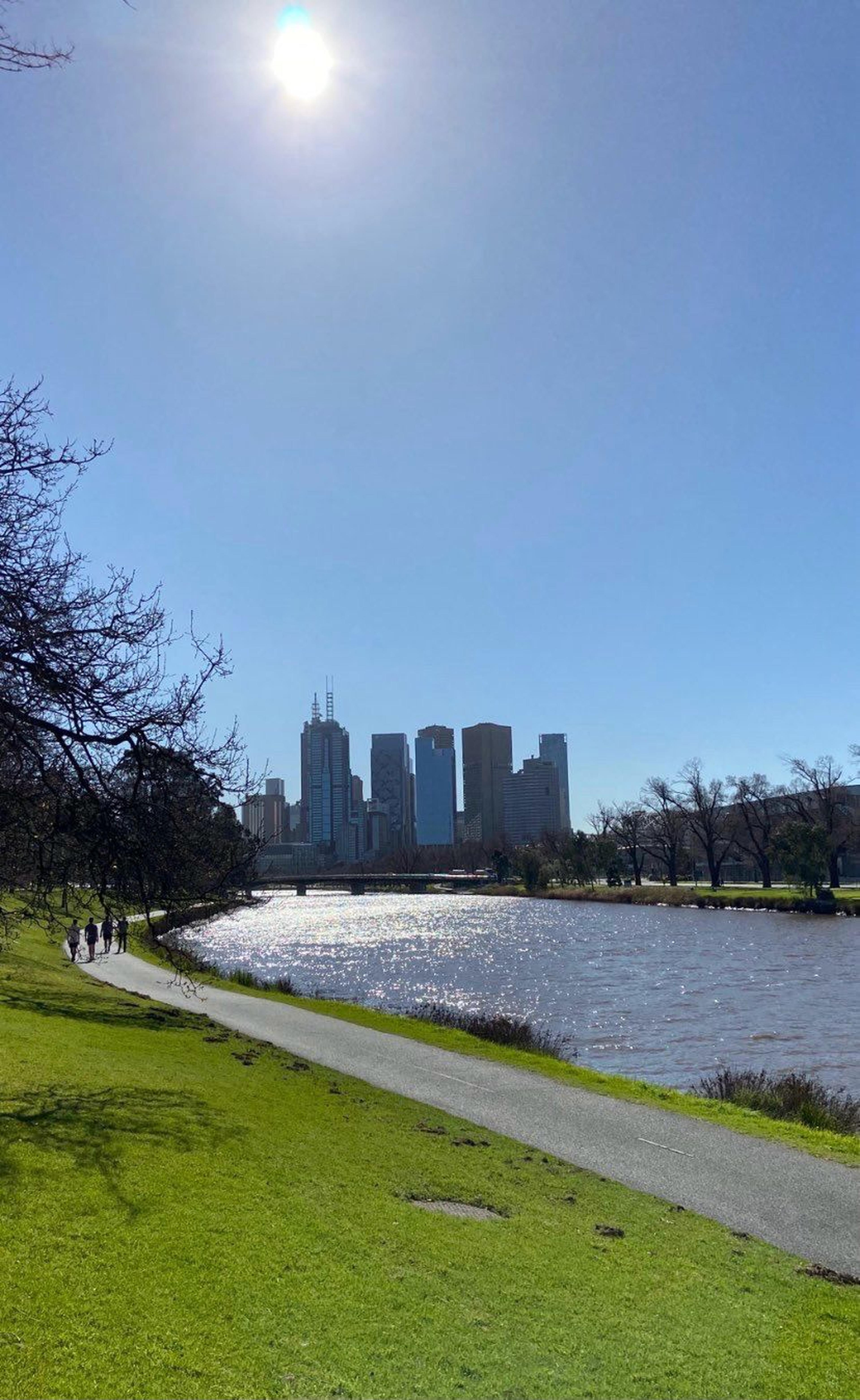 Imagen de la galería 1